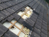 Sanierung eines großflächigen Marderschadens im Steildach